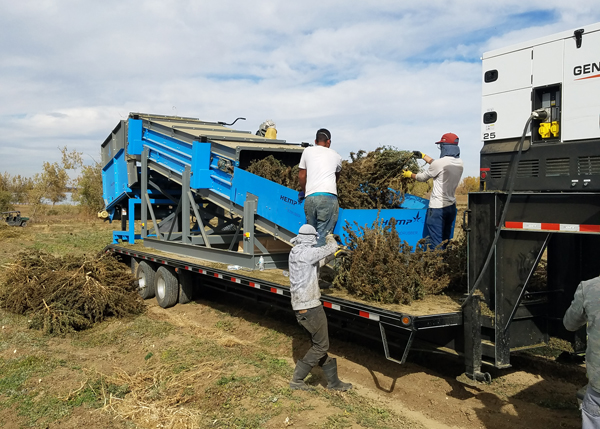 Hemp: A Gateway Crop, Not A Gateway Drug | Hemp Processing Solutions