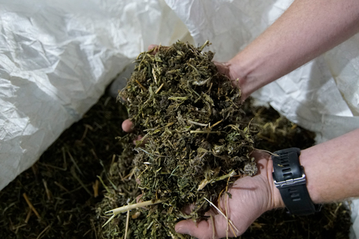 2019 Lessons Learned Part 3: Backup Plans | Hemp Processing Solutions